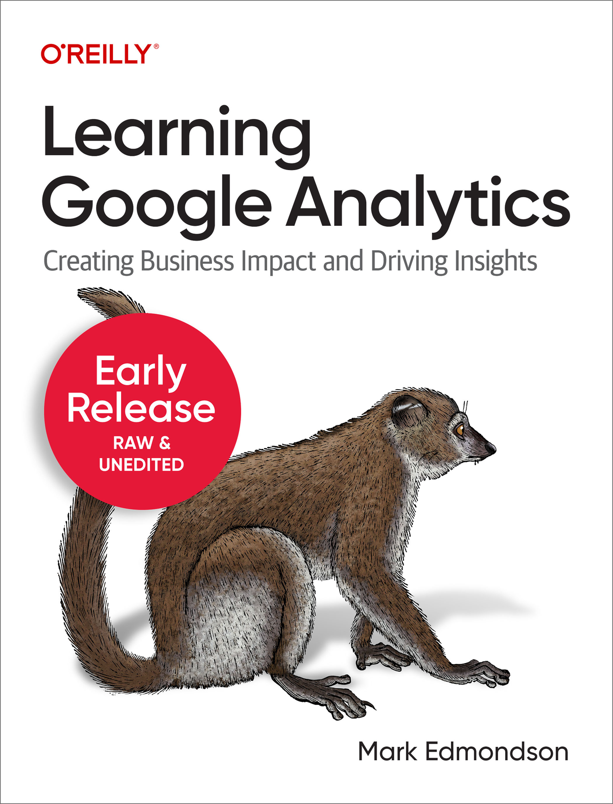 Learning Google Analytics Fifth Early Release Mark Edmondson