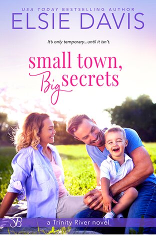 Small Town Big Secrets Elsie Davis