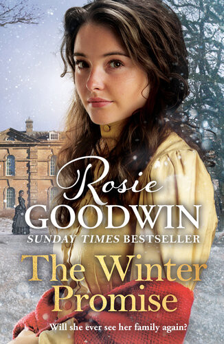 The Winter Promise Rosie Goodwin