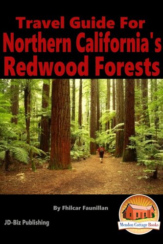 Travel Guide For Northern Californias Redwood Forests Fhilcar Faunillan