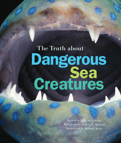 The Truth About Dangerous Sea Creatures Mary M Cerullo