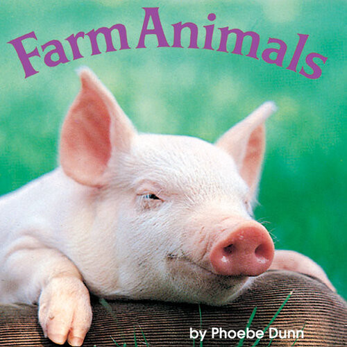 Farm Animals Phoebe Dunn