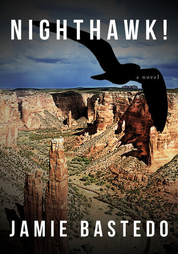 Nighthawk A Novel Reissue Jamie Bastedo
