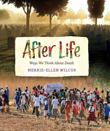 After Life Ways We Think About Death Merrieellen Wilcox