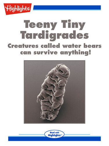 Teeny Tiny Tardigrades Mary Reina