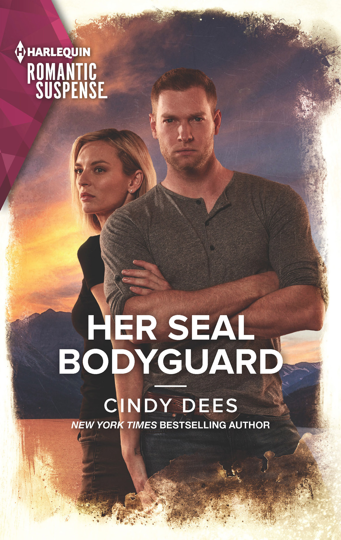 Her Seal Bodyguard Cindy Dees