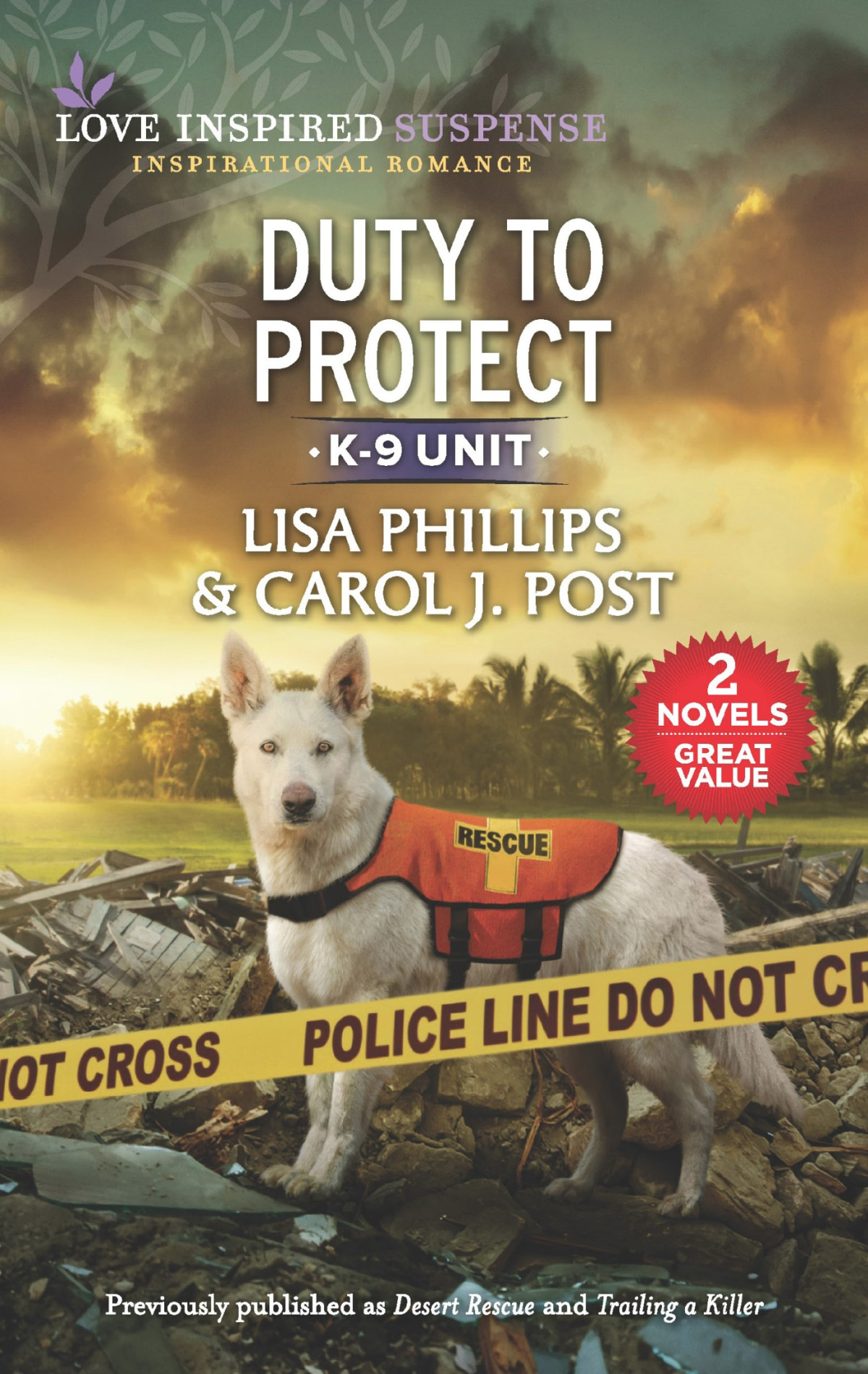 Duty To Protect Lisa Phillips Carol J Post