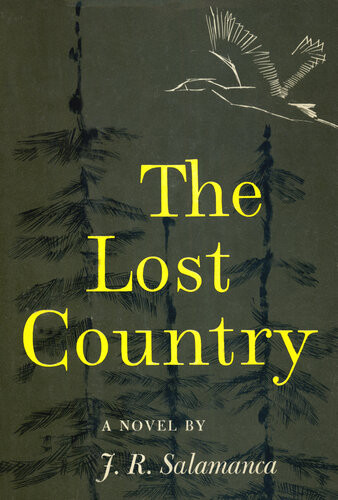 The Lost Country J R Salamanca
