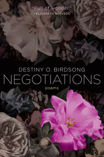 Negotiations Destiny O Birdsong