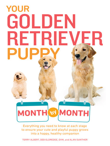 Your Golden Retriever Puppy Month By Month Everything You Need To Know At Each Stage To Ensure Your Cute And Playful Puppy Grows Into A Happy Healthy Companion Terry Albert