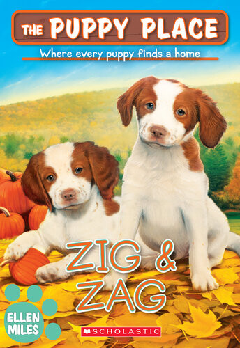 Zig Zag Ellen Miles