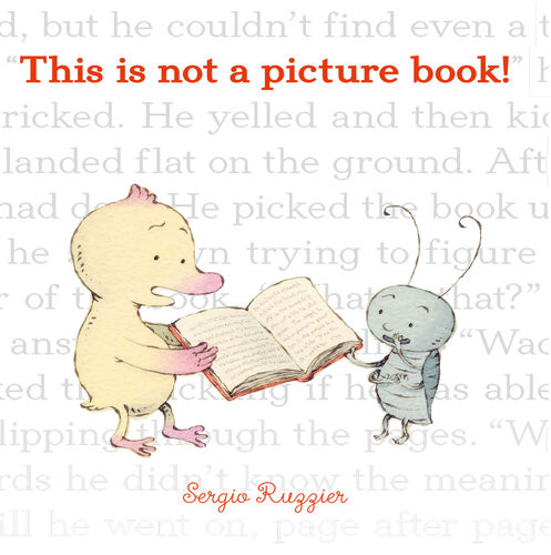 This Is Not A Picture Book Sergio Ruzzier