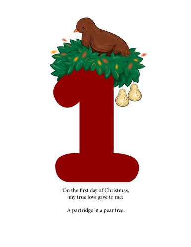 The Twelve Days Of Christmas A Christmas Counting Book Bridget Brighton