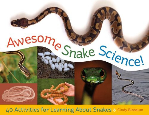 Awesome Snake Science 40 Activities For Learning About Snakes Cindy Blobaum