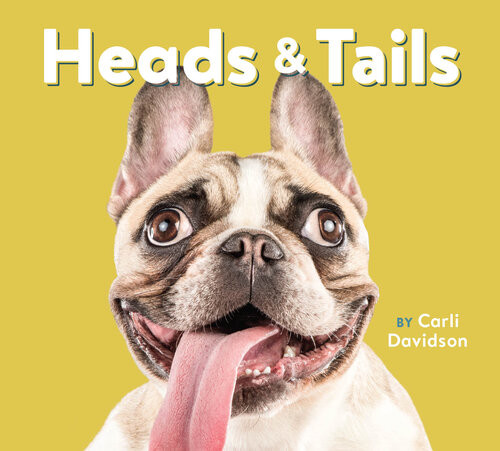 Heads Tails Carli Davidson