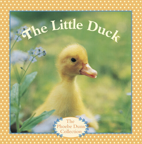 The Little Duck Judy Dunn