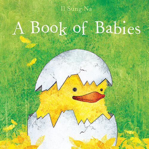 A Book Of Babies Il Sung Na