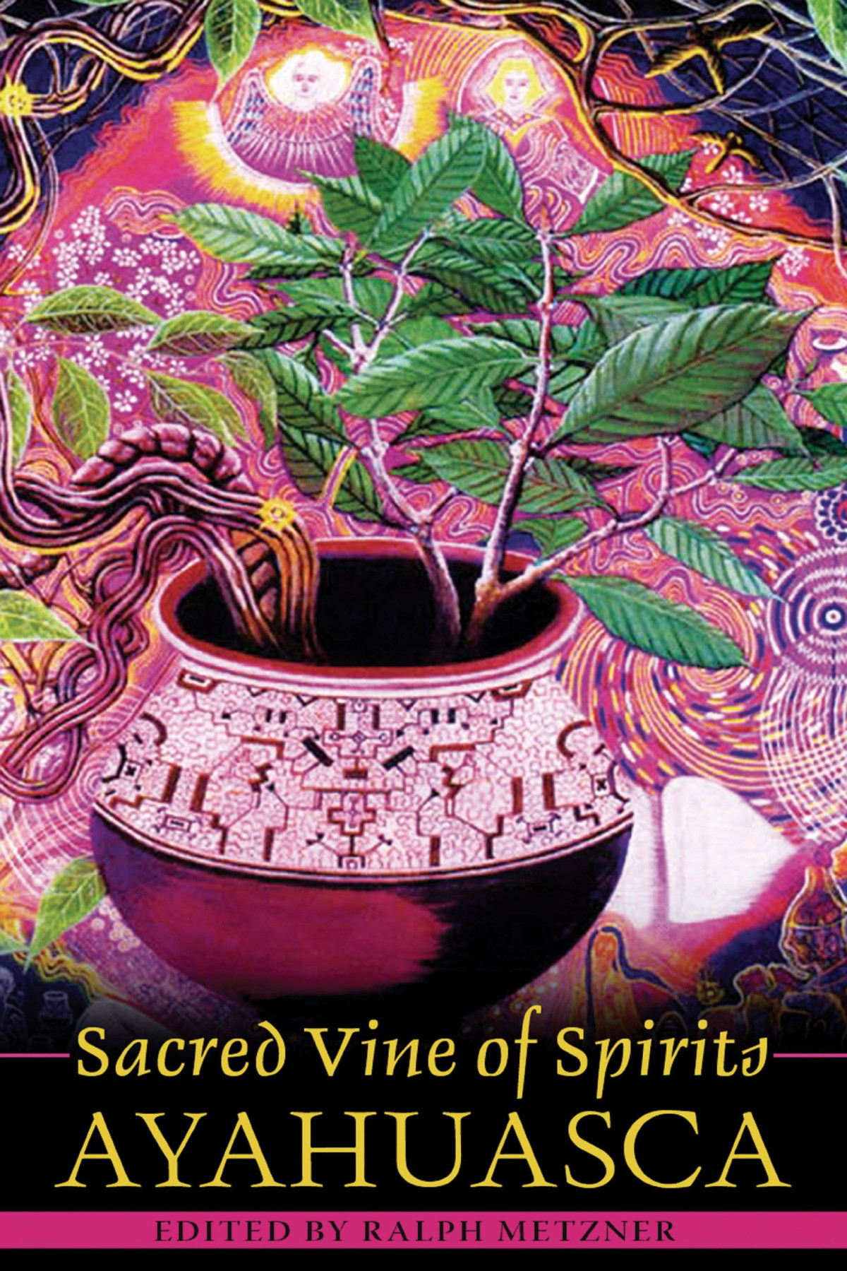 Sacred Vine Of Spirits Ayahuasca Ralph Metzner Editor