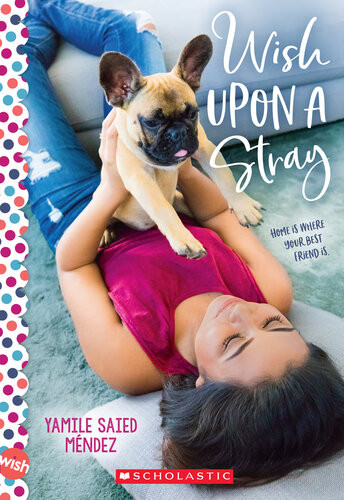 Wish Upon A Stray Yamile Saied Mndez