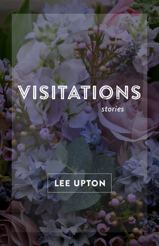 Visitations Stories Lee Upton