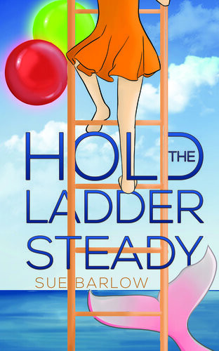 Hold The Ladder Steady Sue Barlow