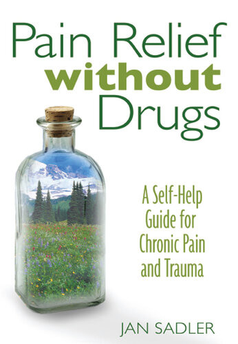 Pain Relief Without Drugs A Selfhelp Guide For Chronic Pain And Trauma Jan Sadler