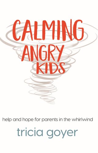 Calming Angry Kids Help And Hope For Parents In The Whirlwind Tricia Goyer