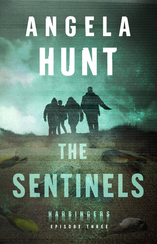 The Sentinels Angela Hunt