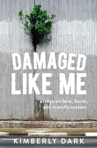 Damaged Like Me Essays On Love Harm And Transformation Kimberly Dark