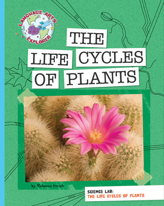 The Life Cycles Of Plants Science Lab Rebecca Hirsch