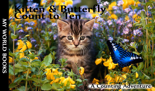 Kitten And Butterfly Count To Ten Sandra Brown