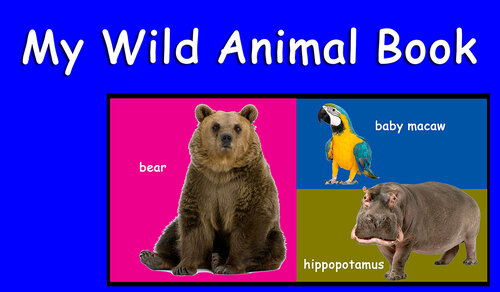 My Wild Animal Book Margaret Brown