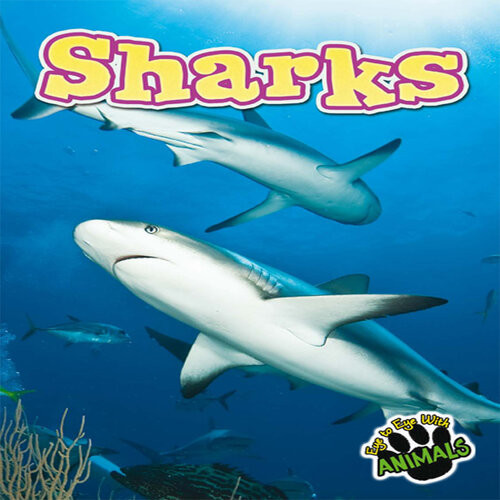 Sharks Don Mcleese