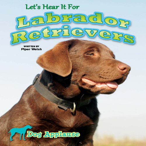 Lets Hear It For Labrador Retrievers Piper Welsh
