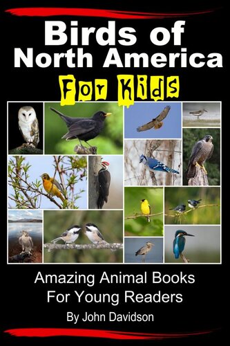 Birds Of North America For Kids John Davidson