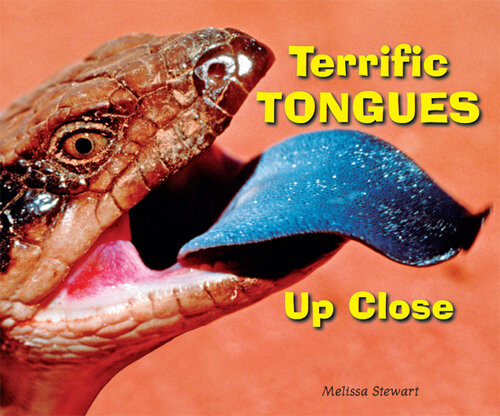 Terrific Tongues Up Close Melissa Stewart