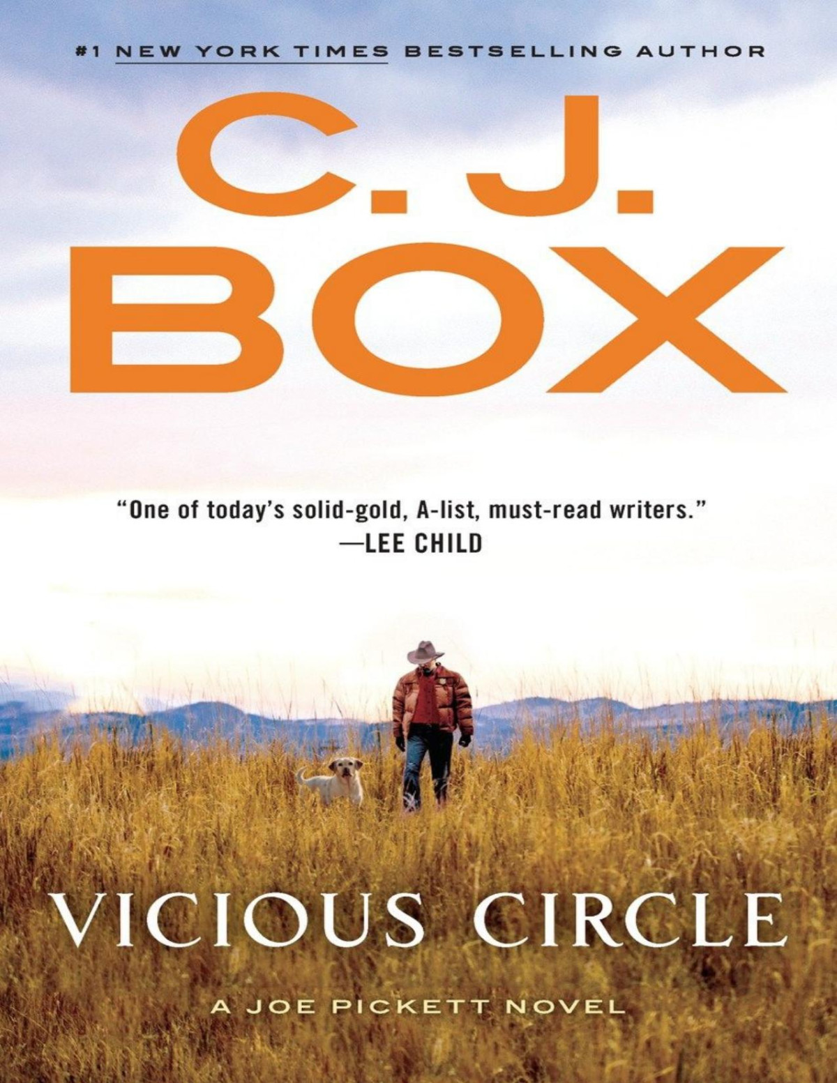 Vicious Circle C J Box