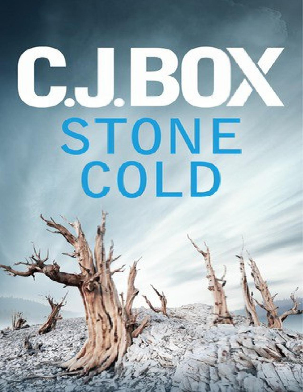 Stone Cold C J Box
