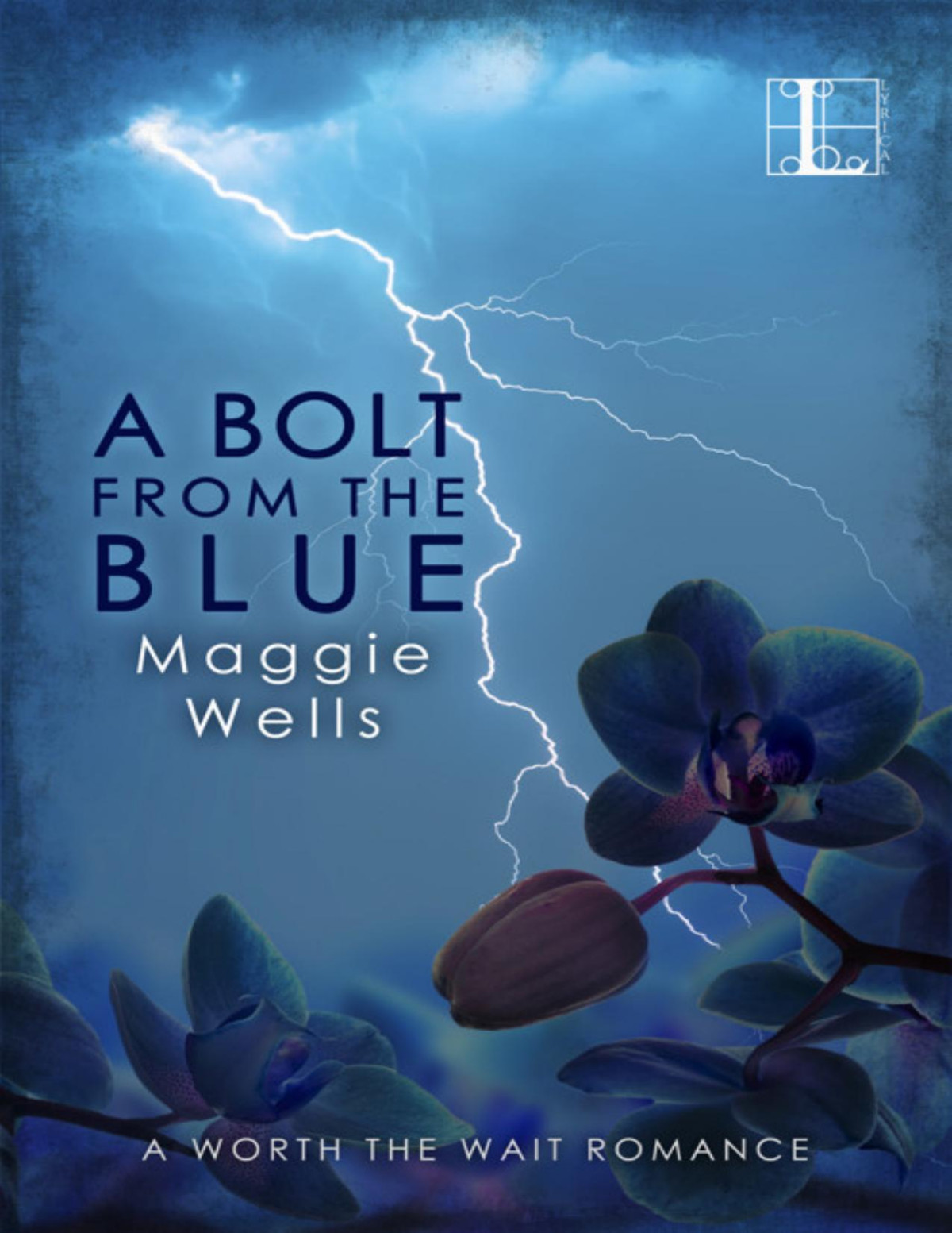 A Bolt From The Blue Maggie Wells