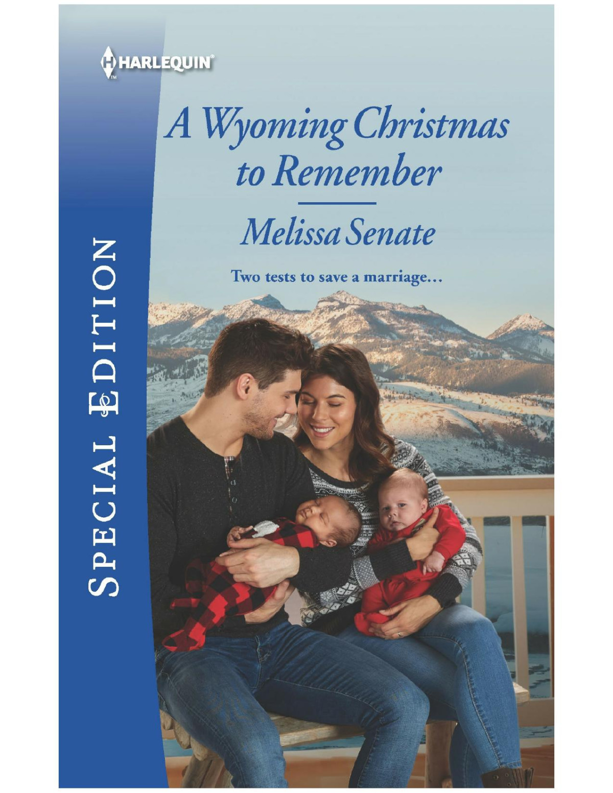 A Wyoming Christmas To Remember Melissa Senate
