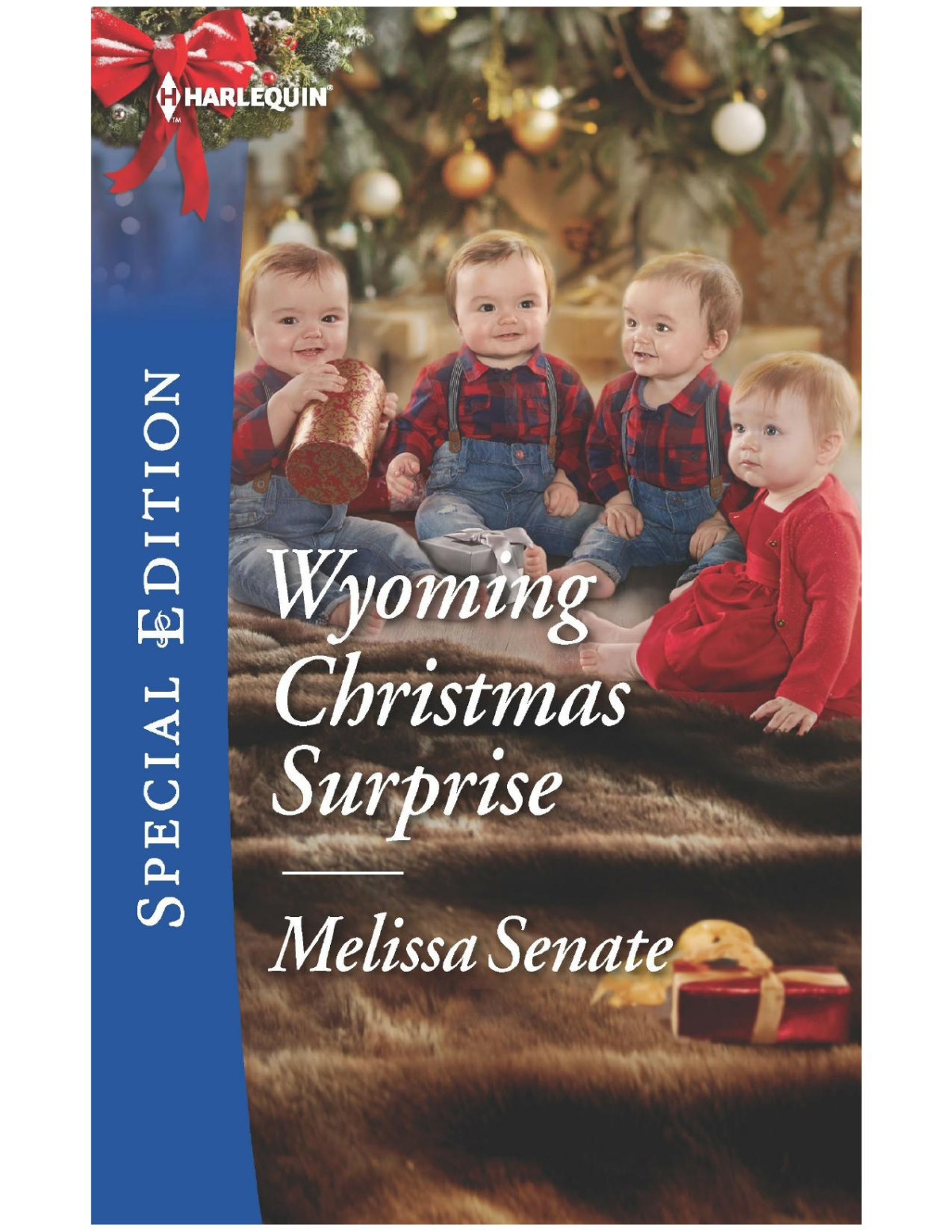 Wyoming Christmas Surprise Melissa Senate