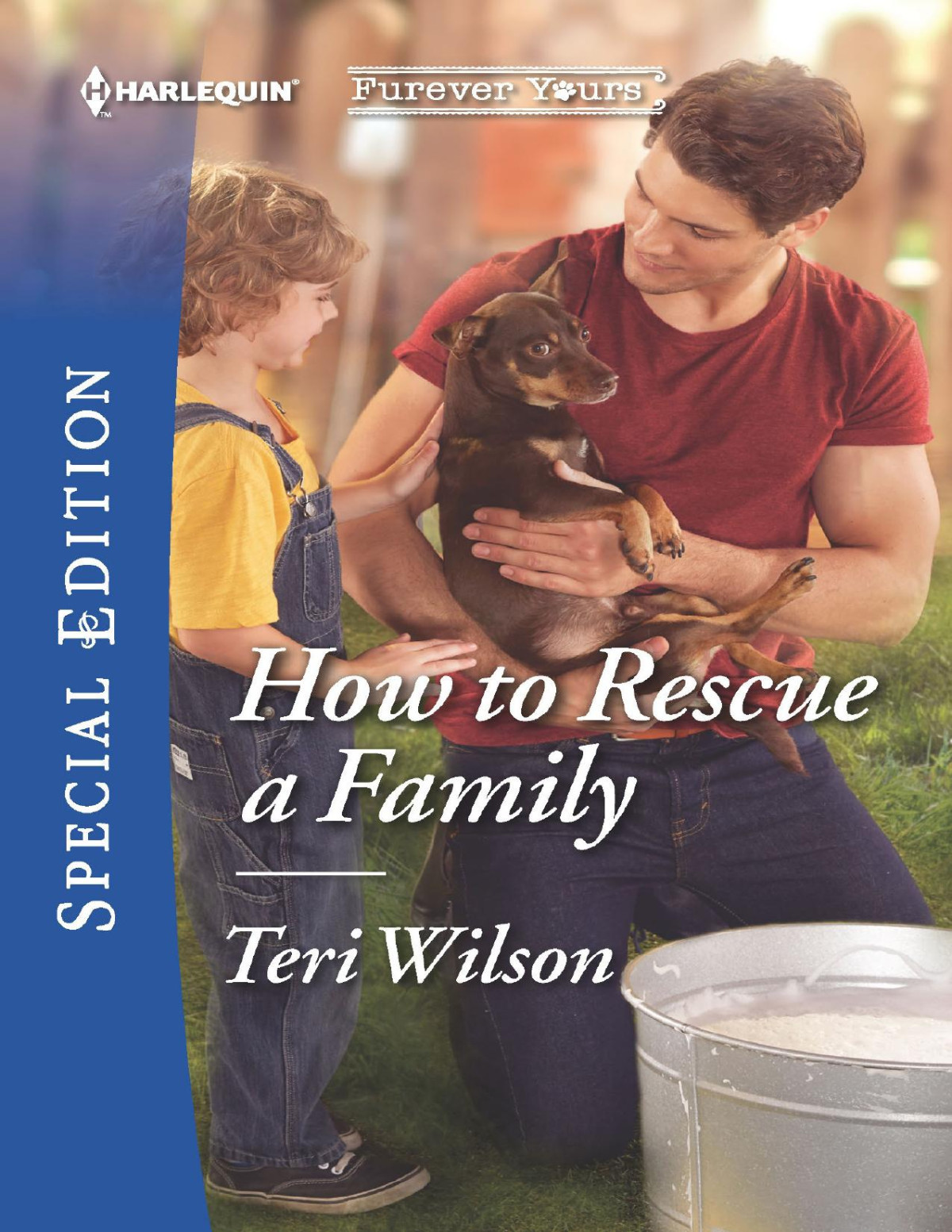 How To Rescue A Family Teri Wilson