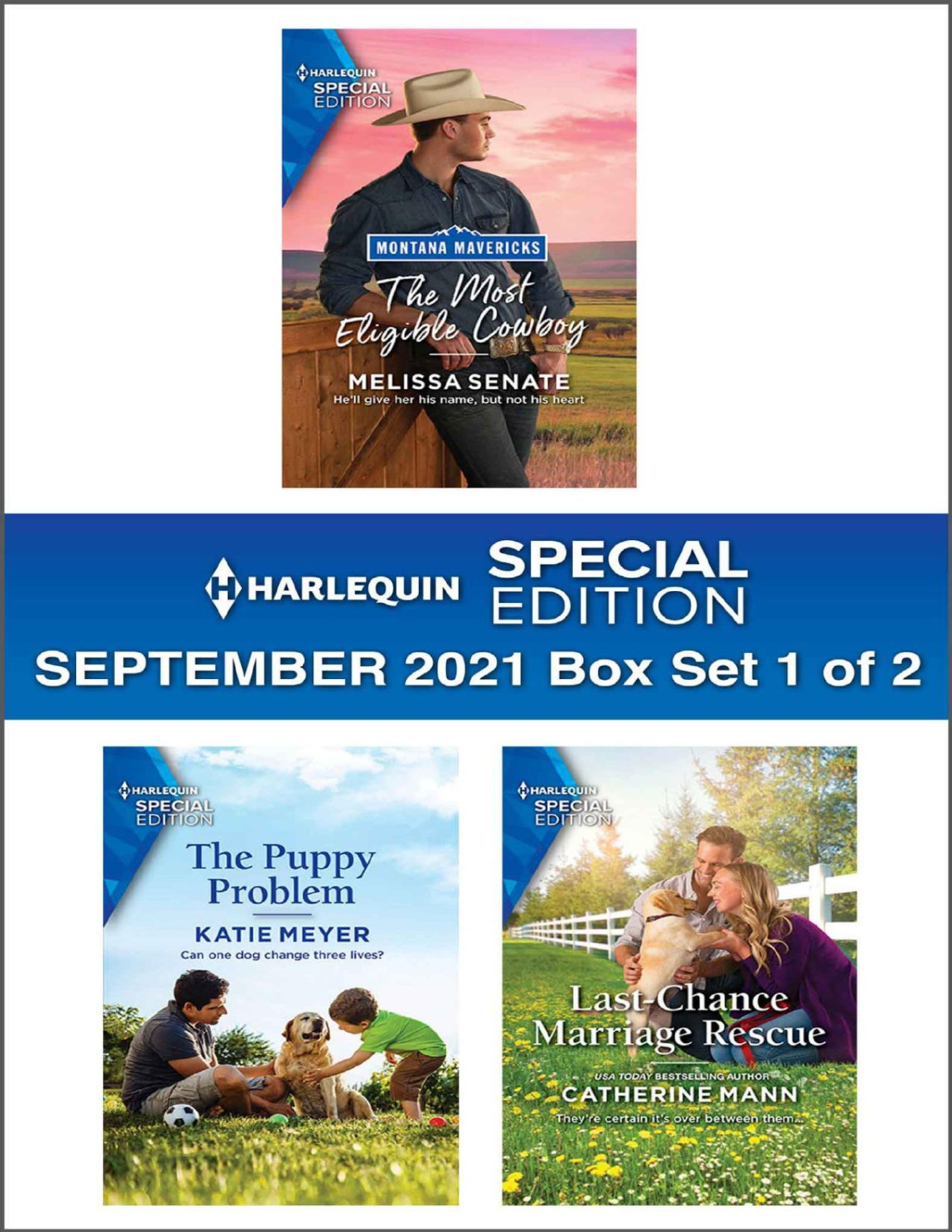 Harlequin Special Edition September 2021box Set 1 Of 2 Melissa Senate