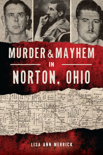 Murder Mayhem In Norton Ohio Lisa Ann Merrick