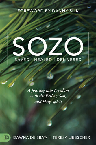 Sozo Saved Healed Delivered A Journey Into Freedom With The Father Son And Holy Spirit Teresa Liebscher
