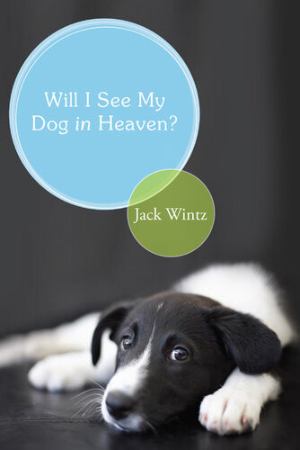 Will I See My Dog In Heaven Jack Wintz