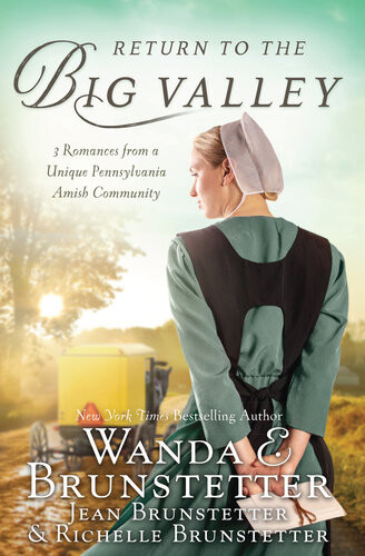 Return To The Big Valley Wanda E Brunstetter Jean Brunstetter
