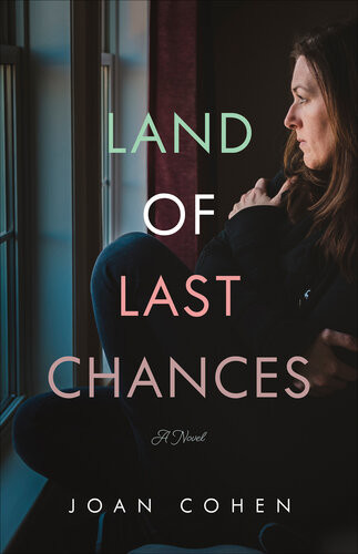 The Land Of Last Chances A Novel Joan Cohen