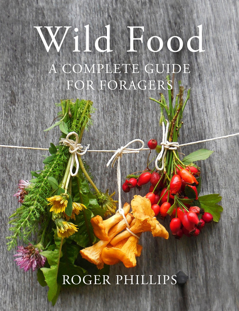 Wild Food A Complete Guide For Foragers Roger Phillips
