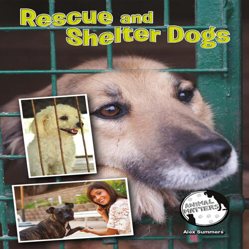 Rescue And Shelter Dogs Alex Summers